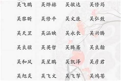 吳姓取名|姓吳名字大全，姓吳男孩名字，男孩名字大全，男寶寶取名字大全